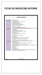 FICHE DE MEDECINE INTERNE – Image 2