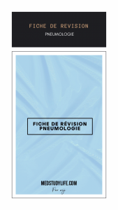 FICHE DE RÉVISION